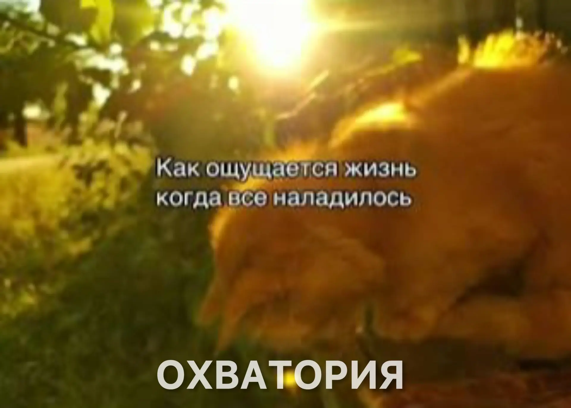 Домен t.me вновь заработал по всему миру.